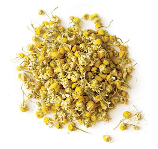 Chamomile – The Calming Flower for Restful Sleep & Relaxation