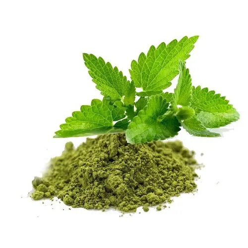 Tulsi – The Queen of Herbs for Immunity & Inner Harmony