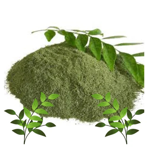 Curry Leaves – The Aromatic Herb for Digestive Health & Wellness