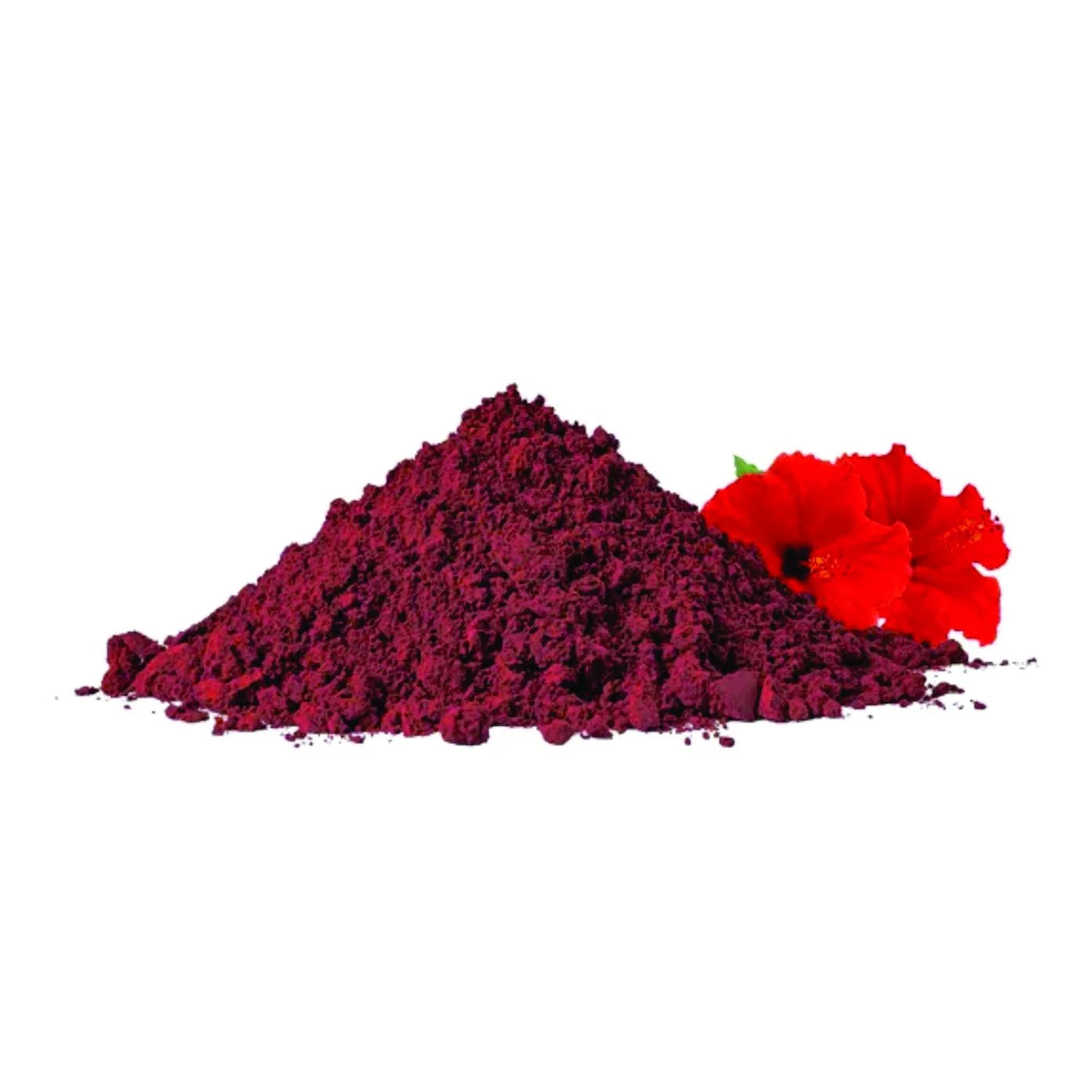 Hibiscus – The Floral Elixir for Radiance, Immunity & Wellness