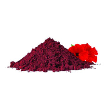 Hibiscus – The Floral Elixir for Radiance, Immunity & Wellness